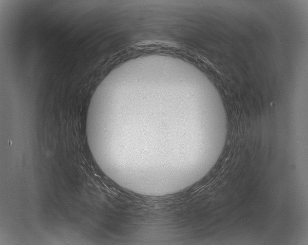 X0000083990965200702160726