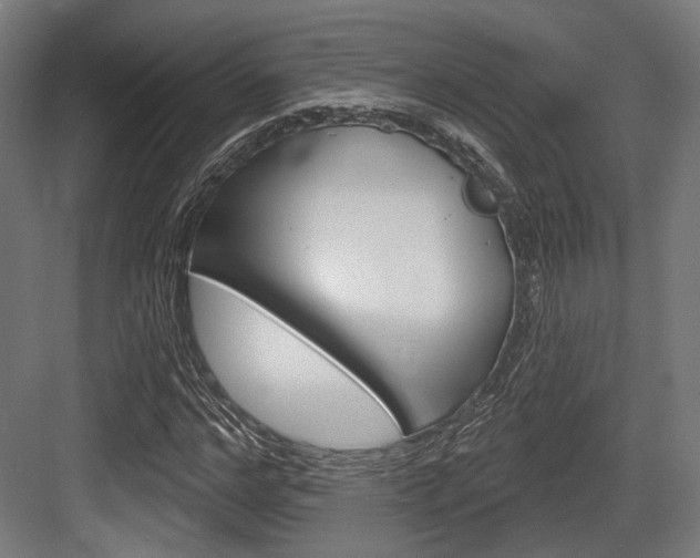 X0000083990968200702160726