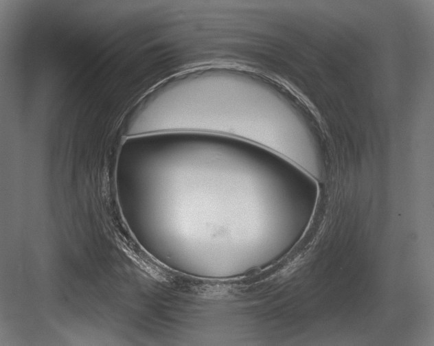 X0000083990969200702160726
