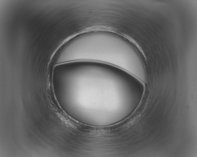 X0000083990973200702160726
