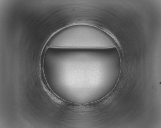 X0000083990980200702160726