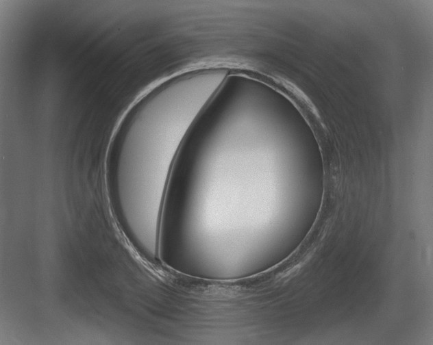 X0000083990981200702160726