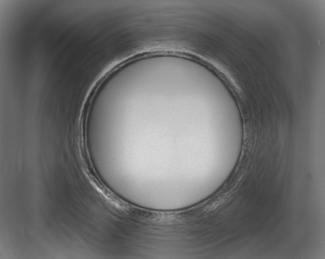 X0000083990982200702160726
