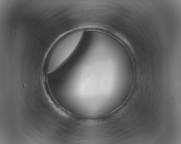X0000083990984200702160726