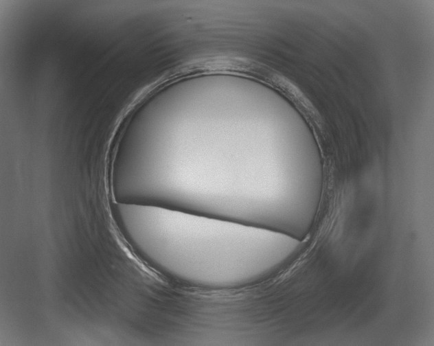 X0000083990986200702160726