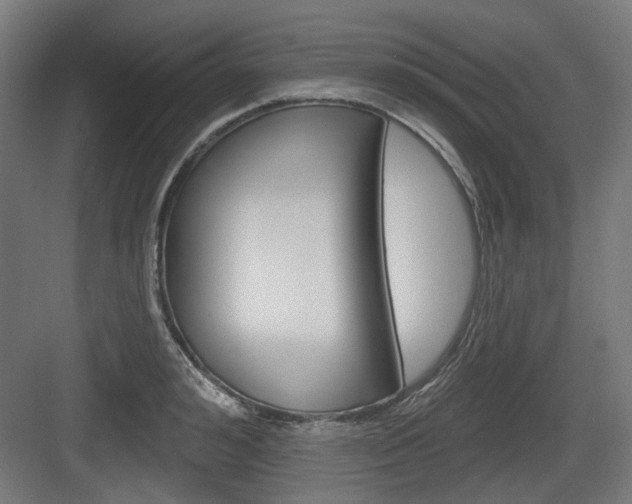 X0000083990992200702160726
