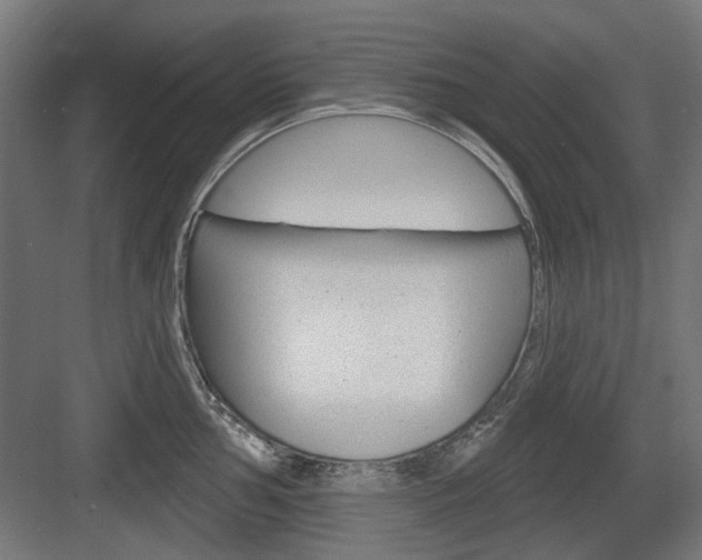 X0000083991002200702160726