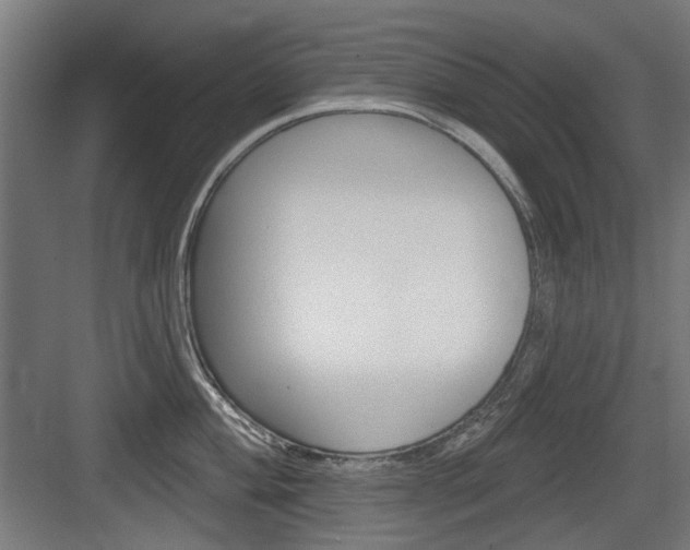X0000083991004200702160726