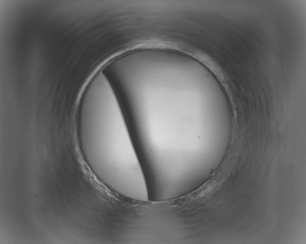 X0000083991008200702160726