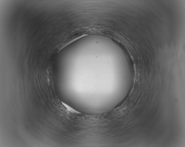 X0000083991010200702160725