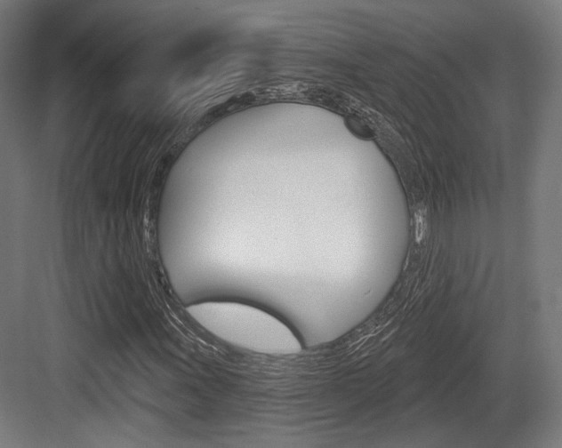 X0000083991011200702160725