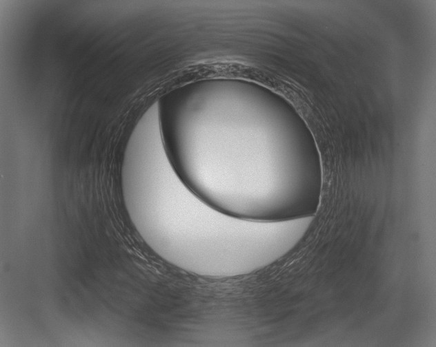 X0000083991014200702160725
