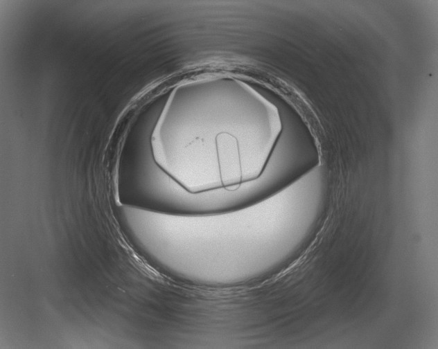 X0000083991018200702160725