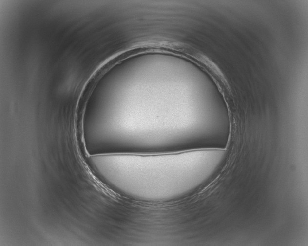 X0000083991020200702160725
