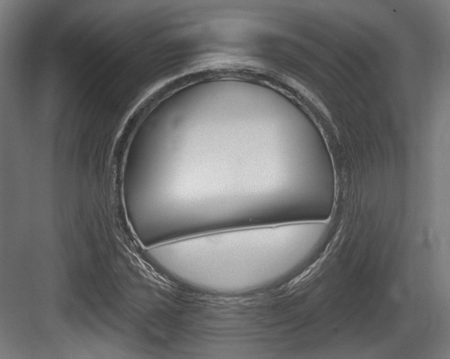 X0000083991021200702160725