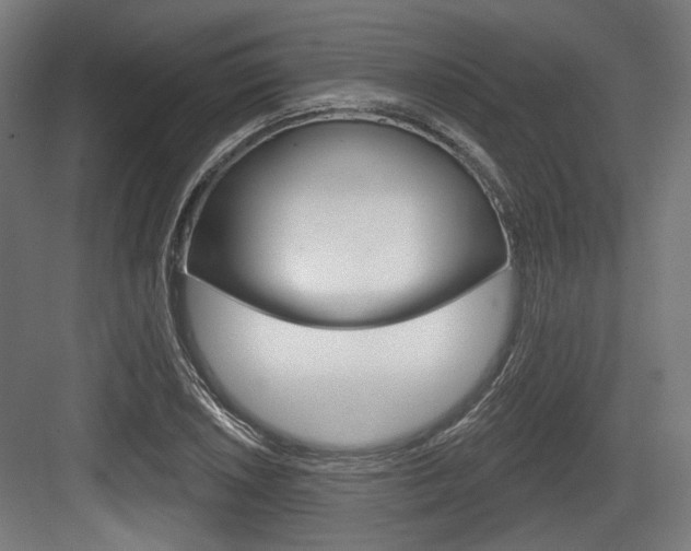 X0000083991026200702160725