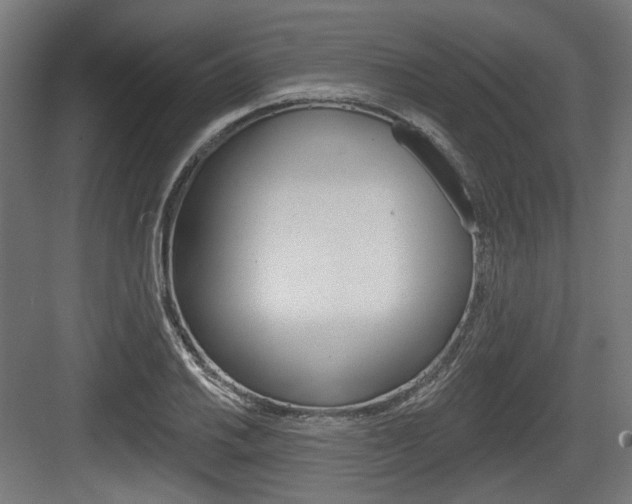 X0000083991030200702160725