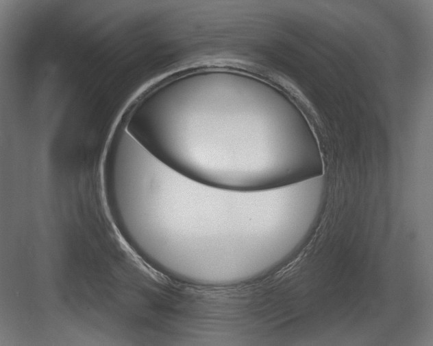 X0000083991032200702160725