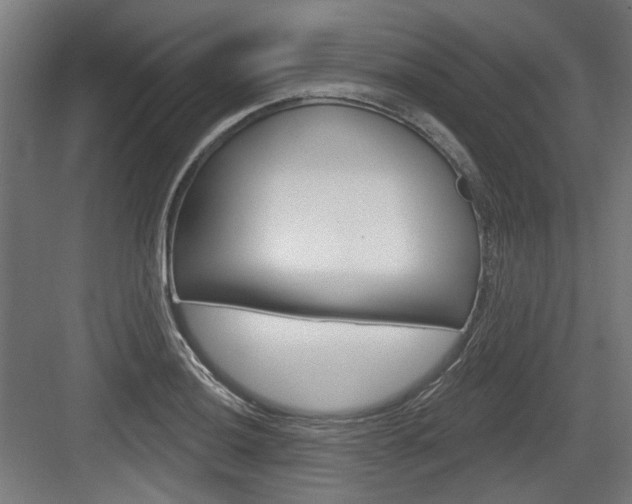 X0000083991036200702160725