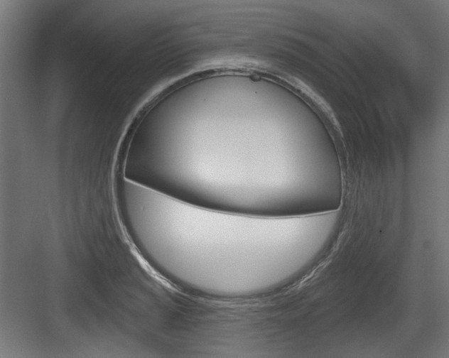 X0000083991037200702160725
