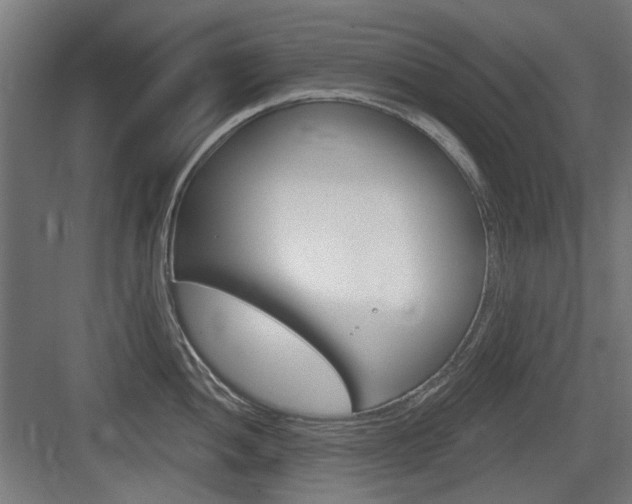 X0000083991052200702160726