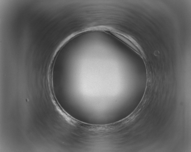 X0000083991054200702160726