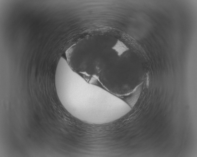 X0000083991059200702160725