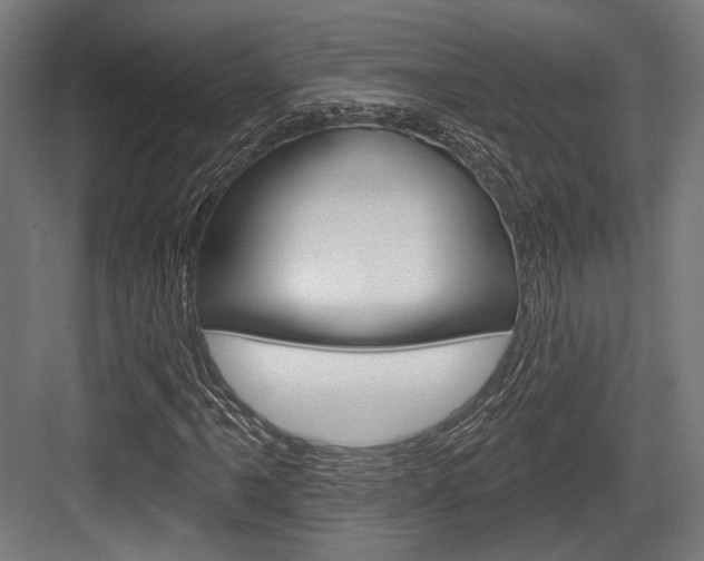 X0000083991061200702160725