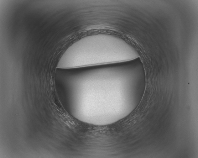 X0000083991062200702160725