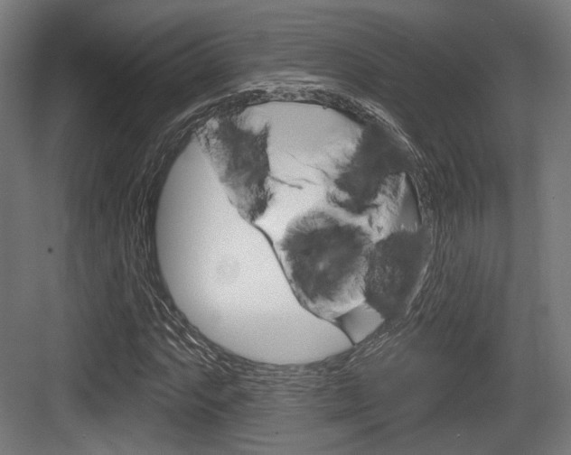 X0000083991063200702160725