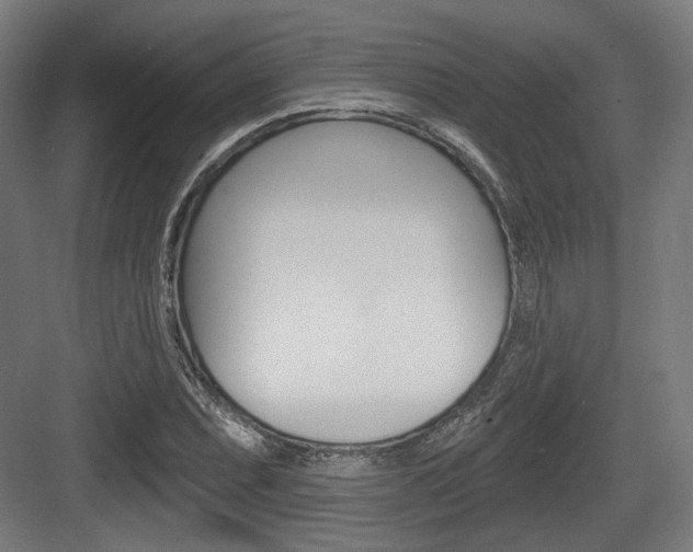 X0000083991071200702160725
