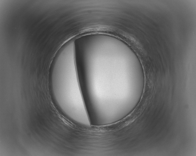 X0000083991073200702160725