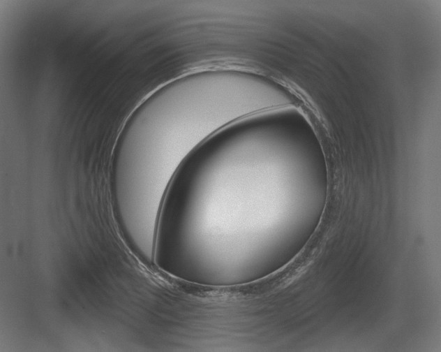 X0000083991081200702160724