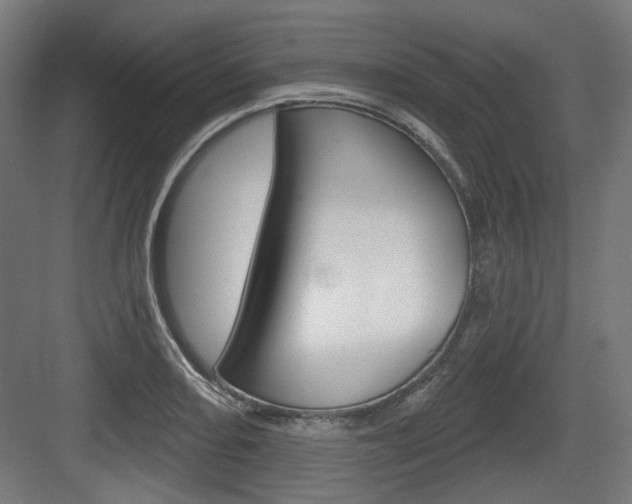 X0000083991082200702160724