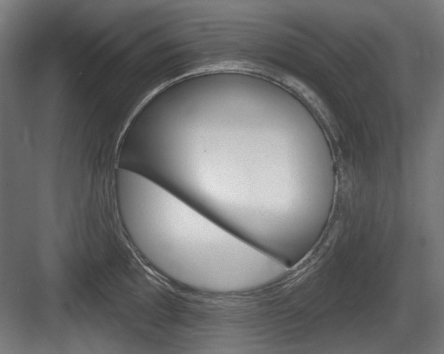 X0000083991097200702160724