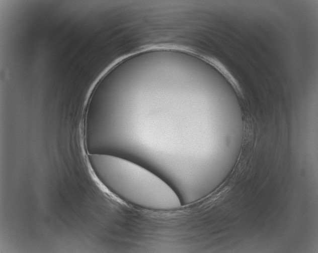 X0000083991100200702160724