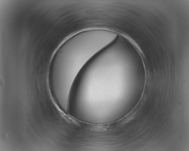 X0000083991101200702160724
