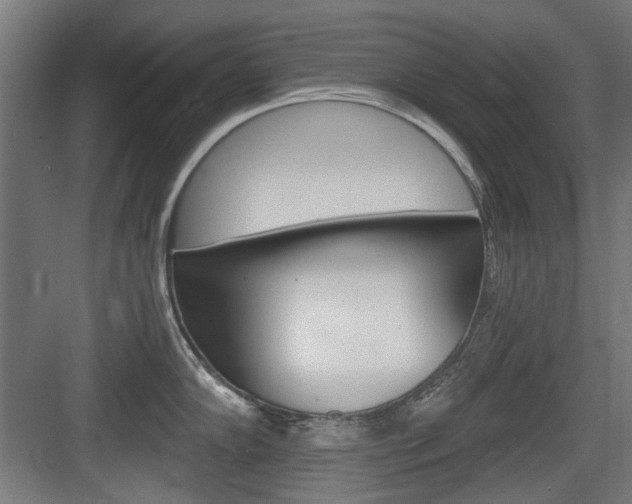 X0000083991102200702160724
