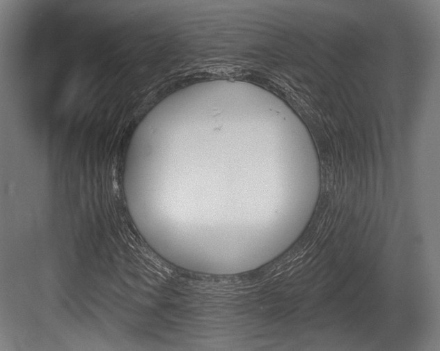 X0000083991106200702160723