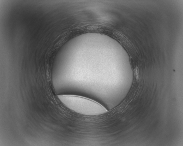 X0000083991107200702160723
