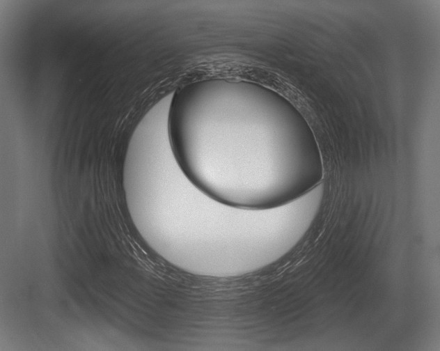 X0000083991108200702160723