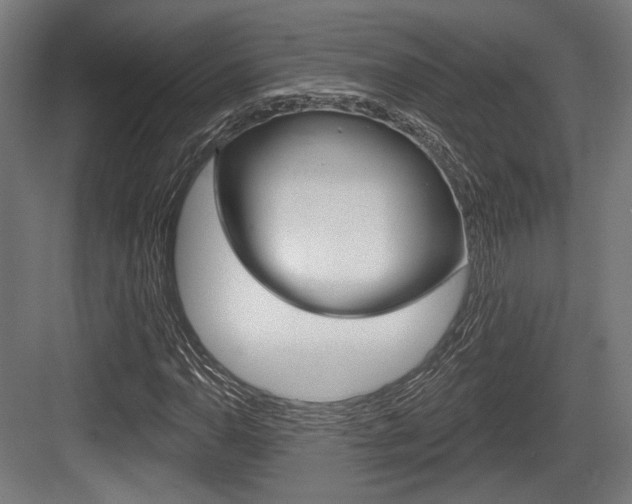 X0000083991110200702160723