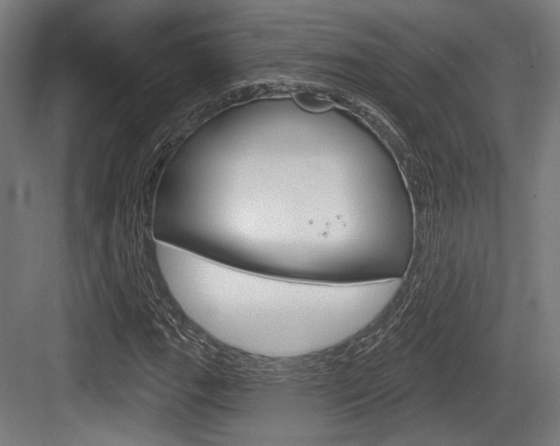 X0000083991111200702160723