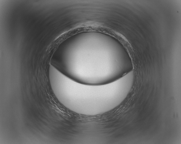 X0000083991112200702160723