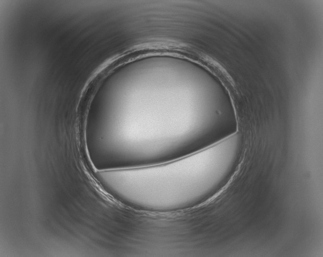X0000083991114200702160723