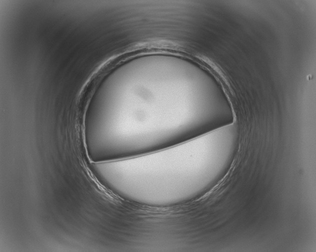 X0000083991115200702160723