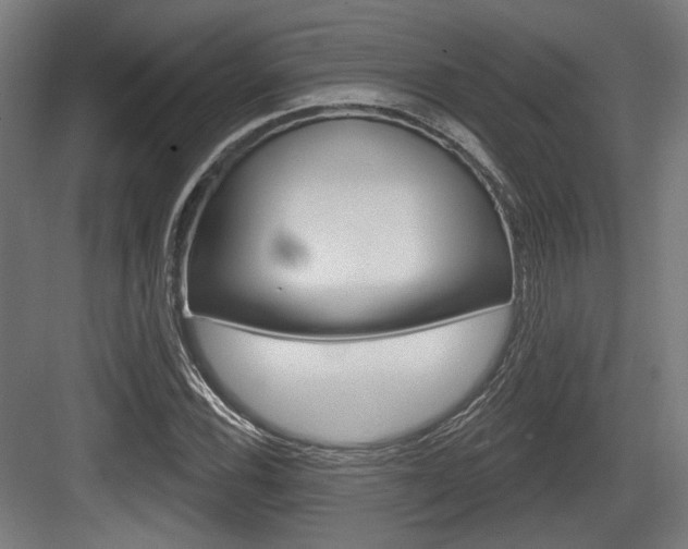 X0000083991116200702160723