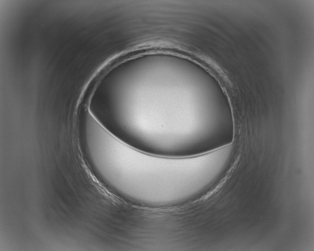 X0000083991118200702160723