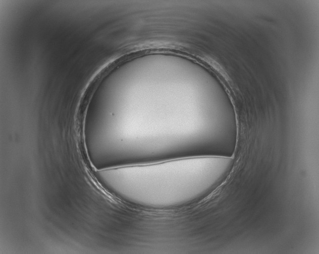 X0000083991119200702160723