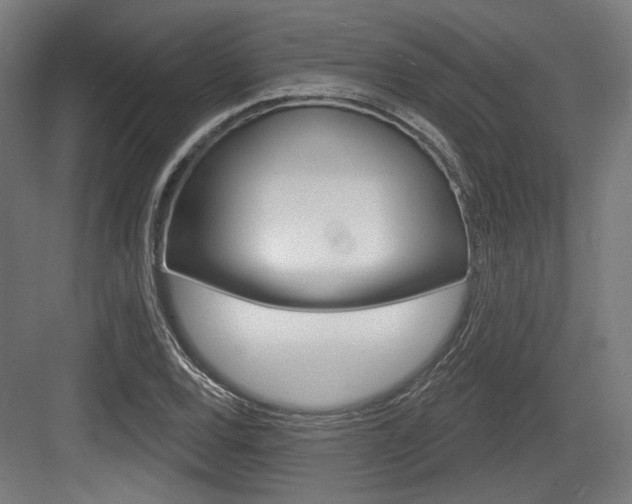 X0000083991120200702160723